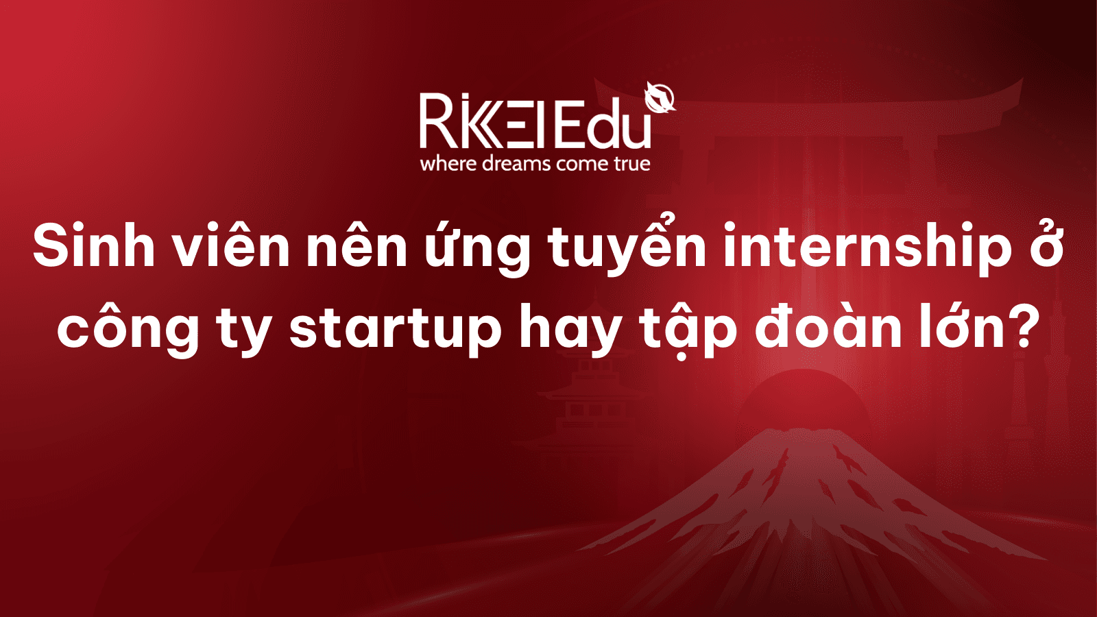 Nên thực tập ở startup hay tập đoàn lớn? Cách chọn internship phù hợp cho sinh viên IT
